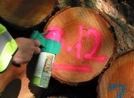 Флуорисцентен спрей-боя за маркиране на дървета